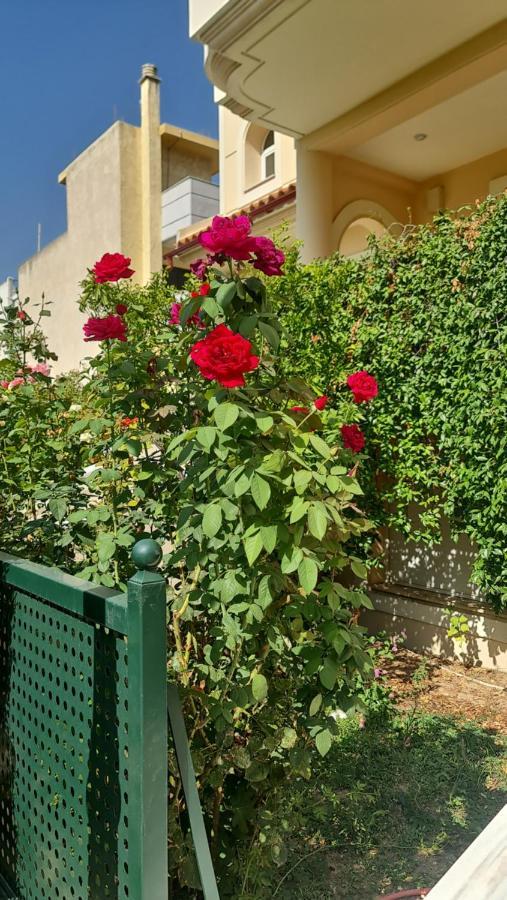 אתונה Evi'S & George'S Home מראה חיצוני תמונה